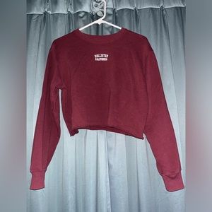 Maroon Crop Sweatshirt by Hollister (XS)